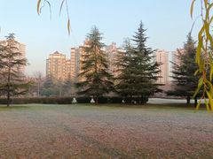 -咸阳湖景区-古渡公园