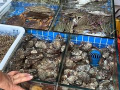 -江杨农产品批发市场