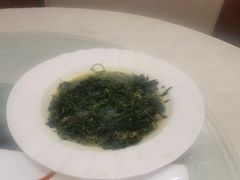 -孔庆璞河豚馆(白玉兰酒店)