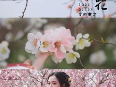 -秀丽东方