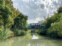 -上海长兴岛郊野公园