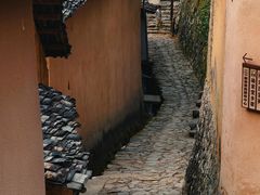 -杨家堂村