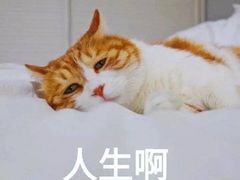 -三俞竹苑(红旗街万达店)