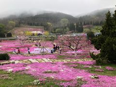 -棒棰岛宾馆景区