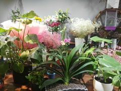 -何兮花店·气球派对鲜花店(马桥银春路万科城店)