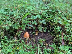 -硗碛藏寨·神木垒景区