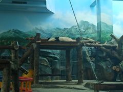 -武汉动物园