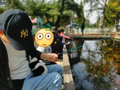 -杨柳青庄园
