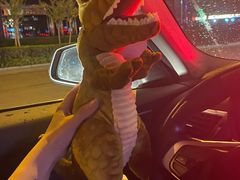 -TOYSRUS玩具反斗城(合肥华润万象城店)