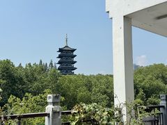 -乡亲鹅肉城(吴江店)
