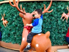 -深圳湾万象城(南山店)