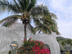 -三亚蜈支洲岛旅游区