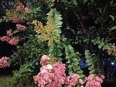 -杭州城北体育公园