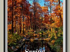 -上海共青森林公园