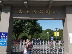 -太子山公园(园东路)