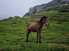 -灵山
