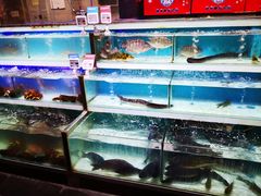 水产区-盒马鲜生(红莲店)