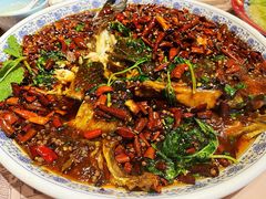 杨记招牌鱼-杨记隆府(时代天街店)