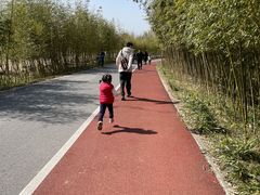 -上海长兴岛郊野公园