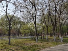 -回龙观体育文化公园