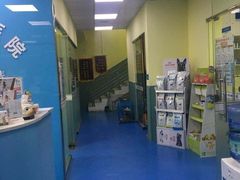 -佳怡动物医院·平价24小时·猫专科骨外科