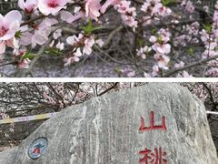 -荷园一餐厅