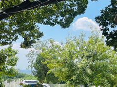 -蘇河湾·新鲁菜·泰山宴(泰山店)