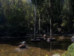 -幽岚山·童话森林