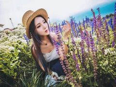 -薰衣草NE庄园