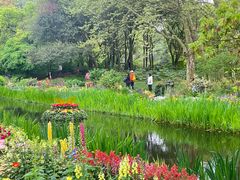 -上海共青森林公园