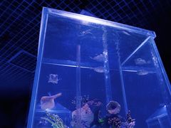 -太平洋海底世界博览馆·展览厅