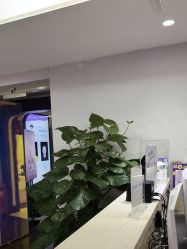 -广州美莱医疗美容医院