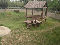 -石家庄市动物园