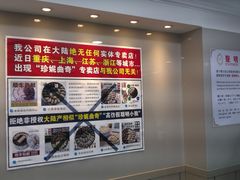 -珍妮曲奇聪明小熊(尖沙咀店)