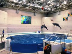 -鹿儿岛水族馆