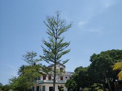 -沙美村