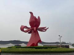 -曹州牡丹园