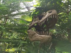 -呀路古热带植物园-恐龙馆