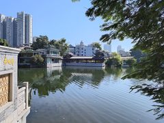 -荔湾湖公园