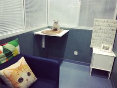 -瑞派长江宠物医院·猫科·外科·24小时夜护(谊城公寓分院)