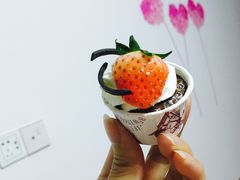 -TOUCH泰奇(奉贤宝龙城市广场店)