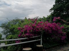 -南诏风情岛