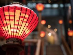-庆合府重庆大排档(紫都城店)
