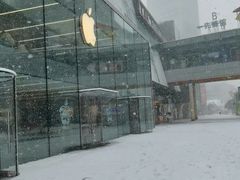 -Apple零售店(中街大悦城店)