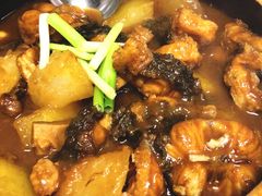 -新陶陶酒家