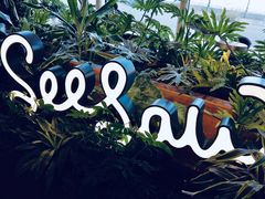 -Seesaw Coffee(朝阳大悦城店)