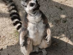-宁波野生动物园