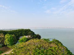 -大湾区中央湿地公园