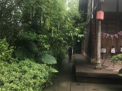 -桤木河湿地公园