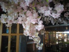 -御池园(顾村公园店)
